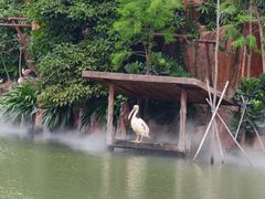 -长鹿旅游休博园