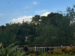 -人民公园(罗湖区)