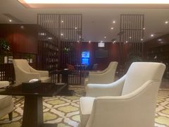 -郑州新郑国际机场T2航站楼-贵宾厅B区