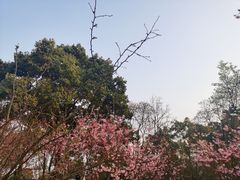 -南山植物园