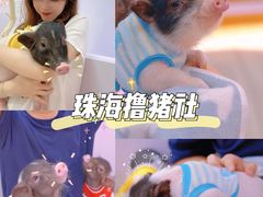 -猪盟咖啡店(玖洲道店)