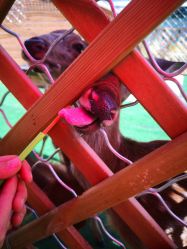 -萌宠亲子动物乐园(槐房万达店)