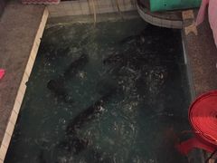 大堂-旭龙鱼头王(航华店)
