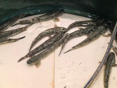 -舌尖上·霞浦滩涂海鲜·新闽菜(总店)