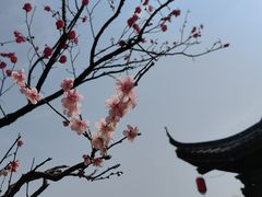 -葛仙湖公园