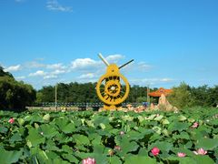 -南戴河国际娱乐中心