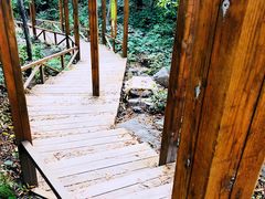 -大岭沟猕猴桃谷风景区