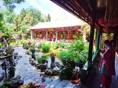 -白家大院·王府宫廷菜(苏州街店)