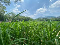 -韶山毛泽东同志故居