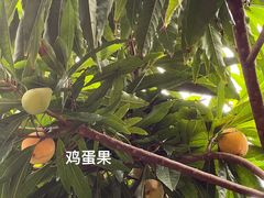 -广州神农草堂中医药博物馆