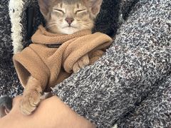 -满记甜品(静安大悦城店)