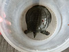 -粮心小农·大头虾亲子生态园(长发店)