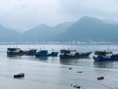 -北岐滩涂