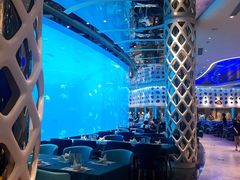 -瑞德姆美人鱼海底演艺主题餐厅(亚龙湾店)