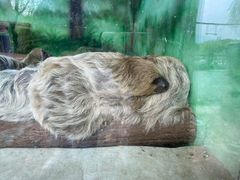-杭州野生动物世界