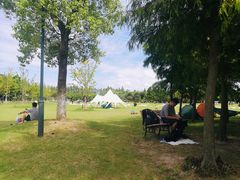 -上海长兴岛郊野公园