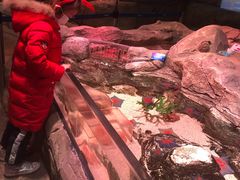 -沈阳海洋探索中心