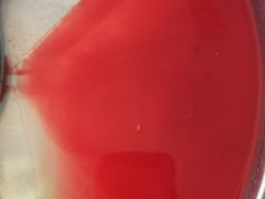 -太原东方动物医院(小店分院)