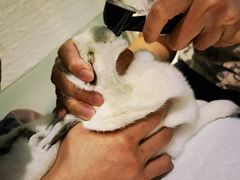 -雨林宠物医院 非犬猫异宠专科