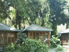 -大妙火锅·非物质文化遗产(东湖公园店)