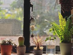 -晓风书屋(大学路店)