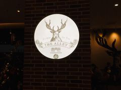 -鹿角巷The Alley(龙湖天街店)