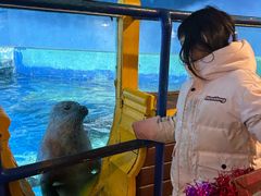 -太平洋海底世界