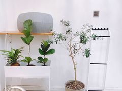 -Onirii Coffee(长乐路店)