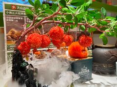 -奔跑吧陕菜·盛世长安(民乐园万达店)