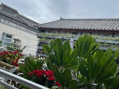 -阿鹏故事云南野生菌火锅(人民路店)