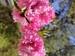 -皇城根遗址公园-东安门遗址