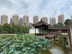 -龙头寺公园