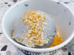 原味椰子灰冰淇淋-蔻蔻椰·鲜萃椰子水(欢乐港湾店)
