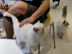 -怪兽屋·羊驼·猫咖·狗咖(俊华广场店)