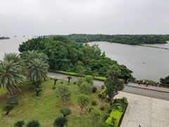 -大湾区中央湿地公园