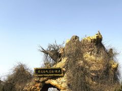 -大槐树寻根祭祖园