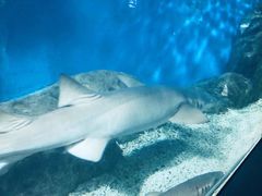 -福州罗源湾海洋世界旅游区