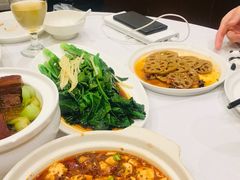 -眉州东坡(中日友好医院店)