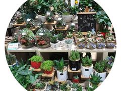 -AEON永旺(东方宝泰店)