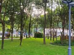 -成都市活水公园