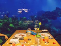 -涛·海底餐厅·美人鱼·自助餐·海底隧道(三亚海棠湾洲际度假酒店)