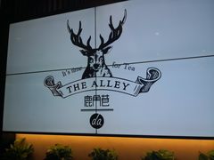 -鹿角巷The Alley(龙湖天街店)