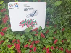 -深圳国际园林花卉博览园