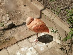 -青藏高原野生动物园