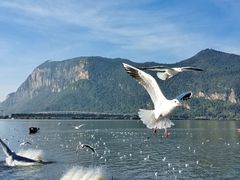 -海埂大坝