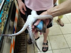 -正能量1号海鲜加工店