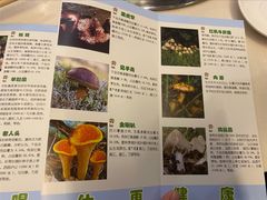 -太婆天府山珍酒楼(亚运村店)