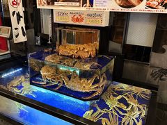 -蟹道乐(道顿堀本店)