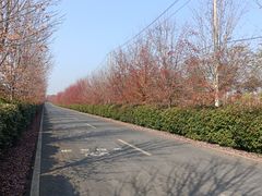 -南京枫彩漫城
