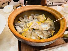 砂锅焗东海大黄鱼-人间采蜜(海信广场店)